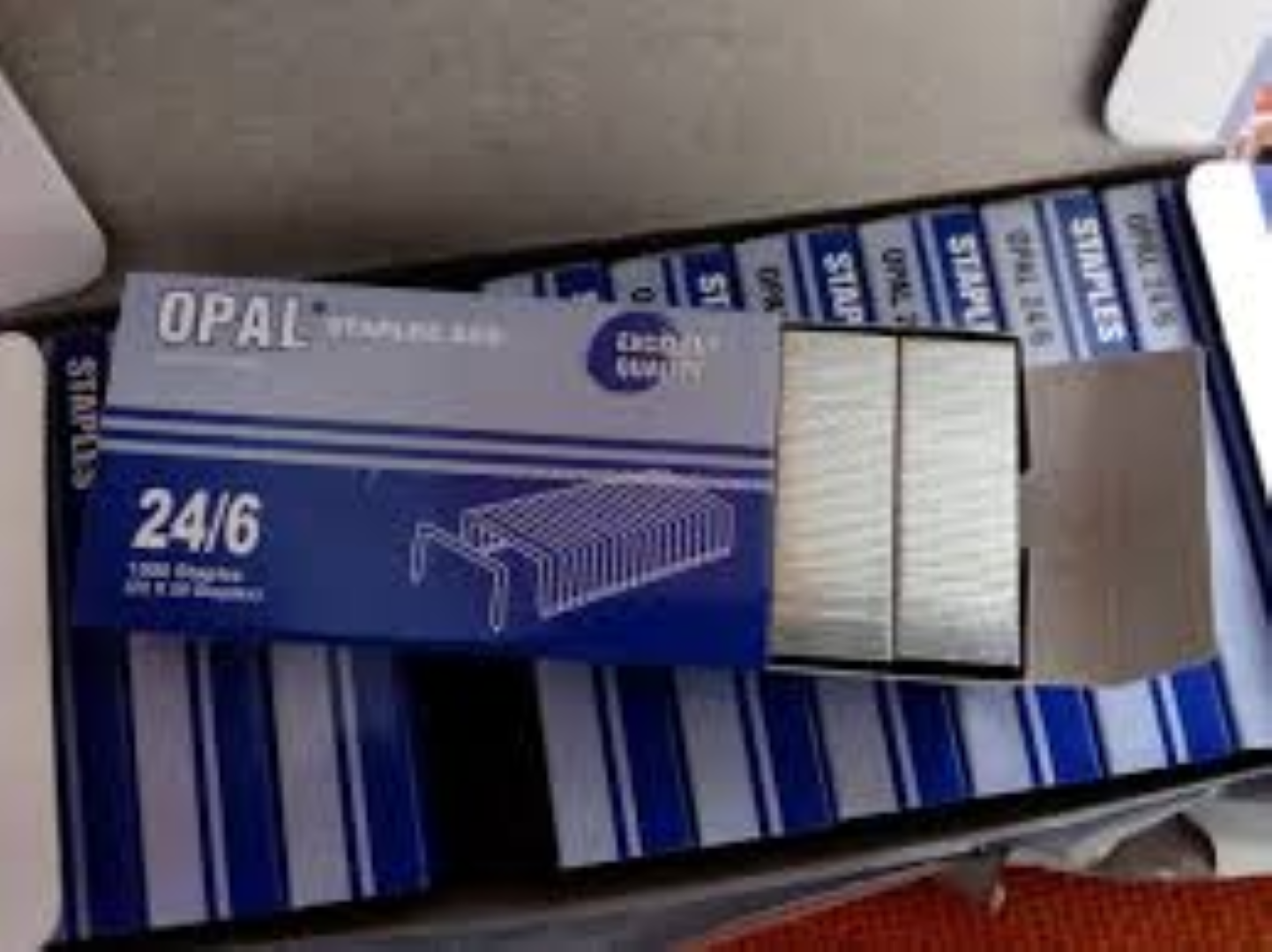 OP STAPLE PINS SP 246B 24/6 1000'S